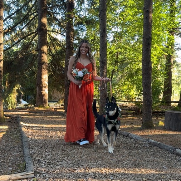 AZAZIE ALIA
Paprika A-Line Pleated Chiffon Dress - Picture 10 of 12